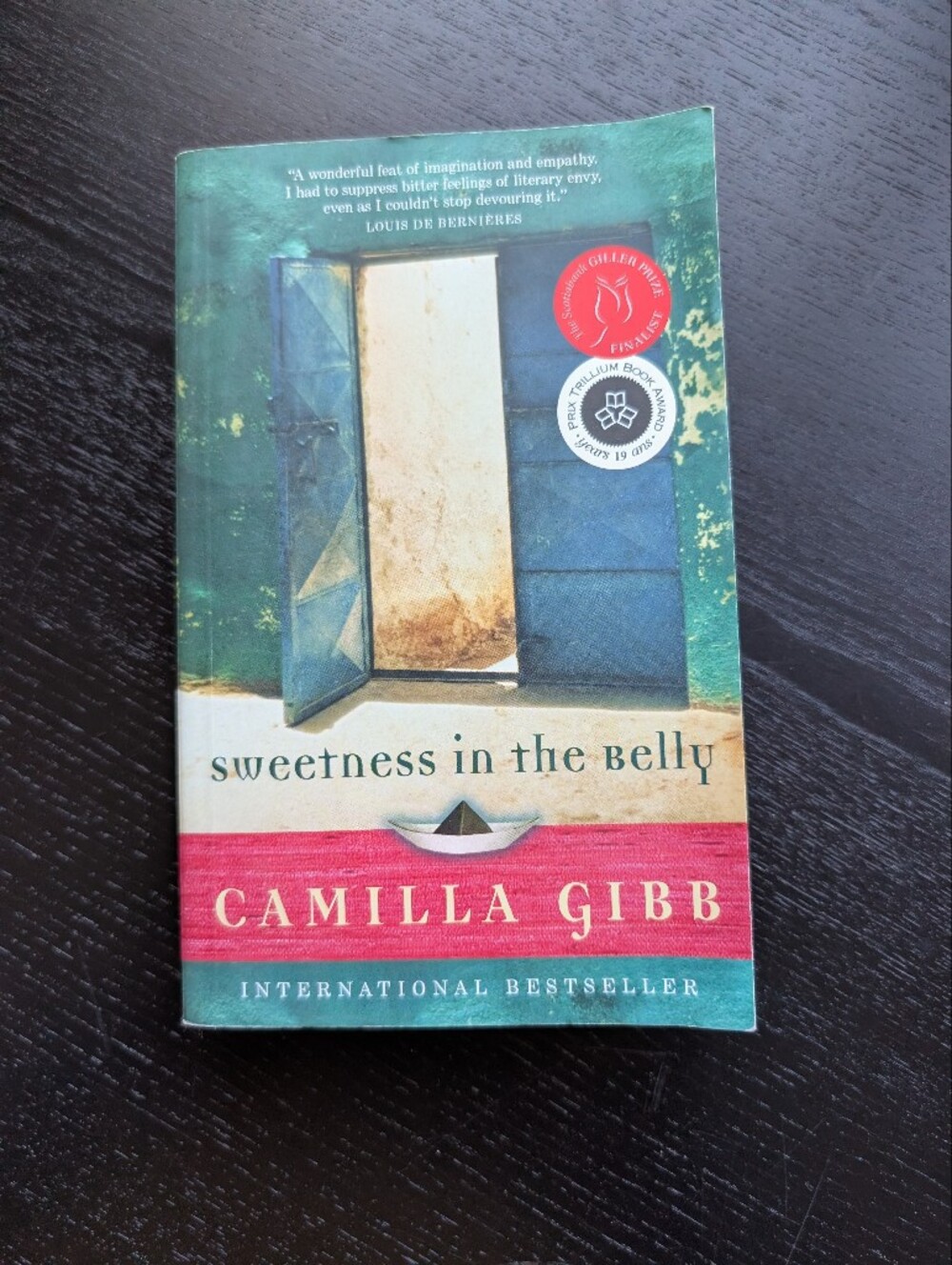 Sweetness in the Belly by Camila Gibb
